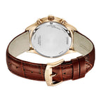 Citizen Eco-Drive AT2573-07X Brown Dial Leather Strap  Men'sWatch